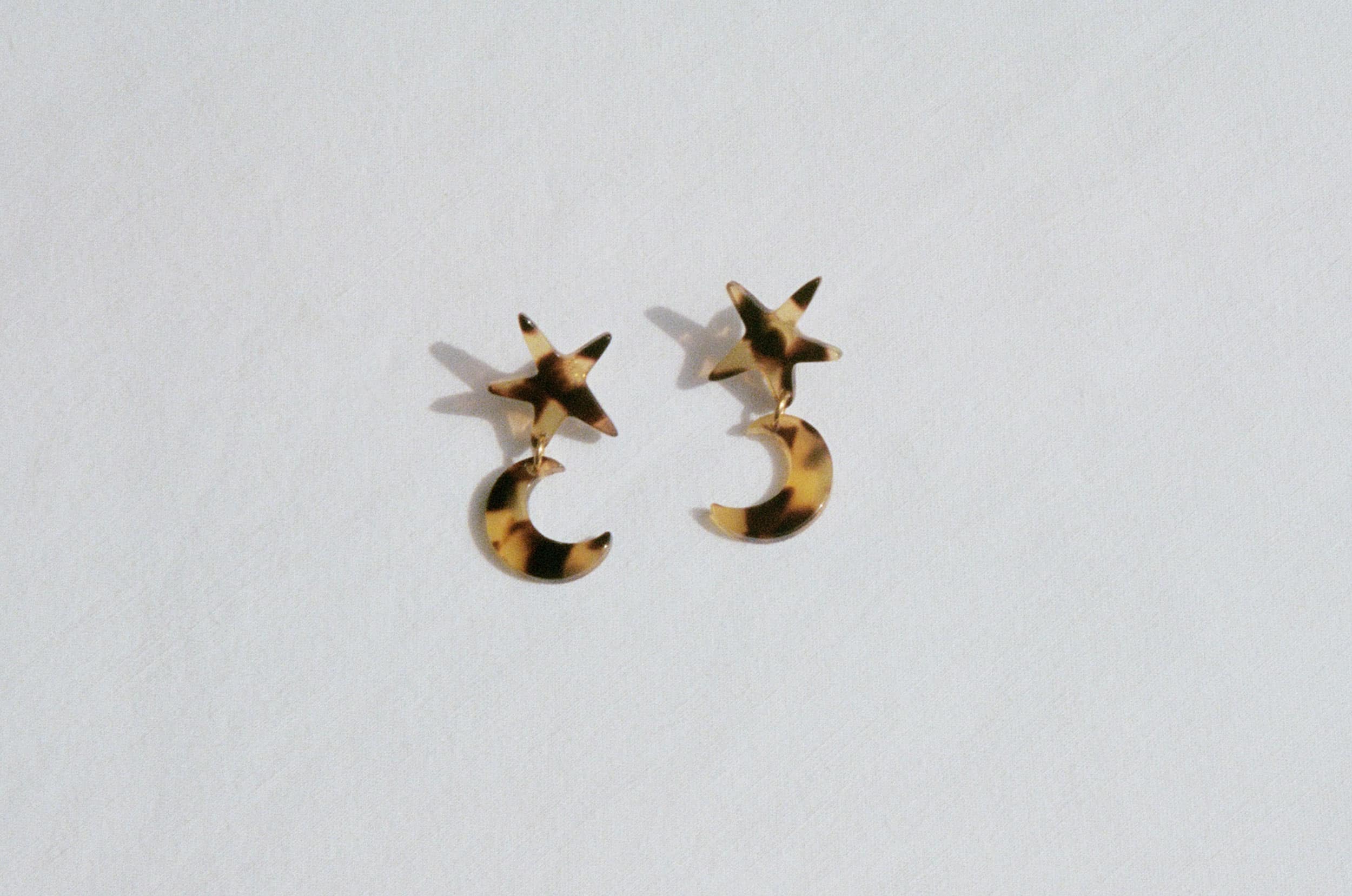 Larisa Tortoise