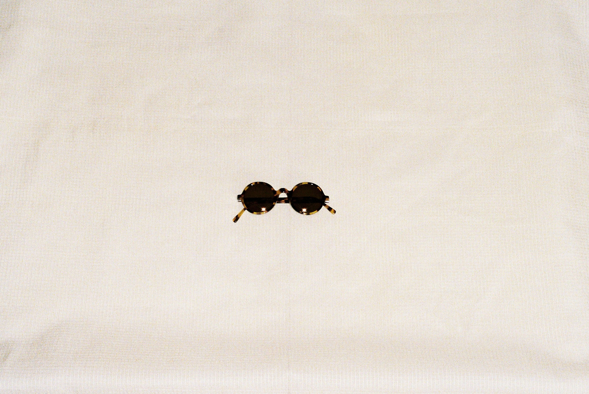 Lina Tortoise