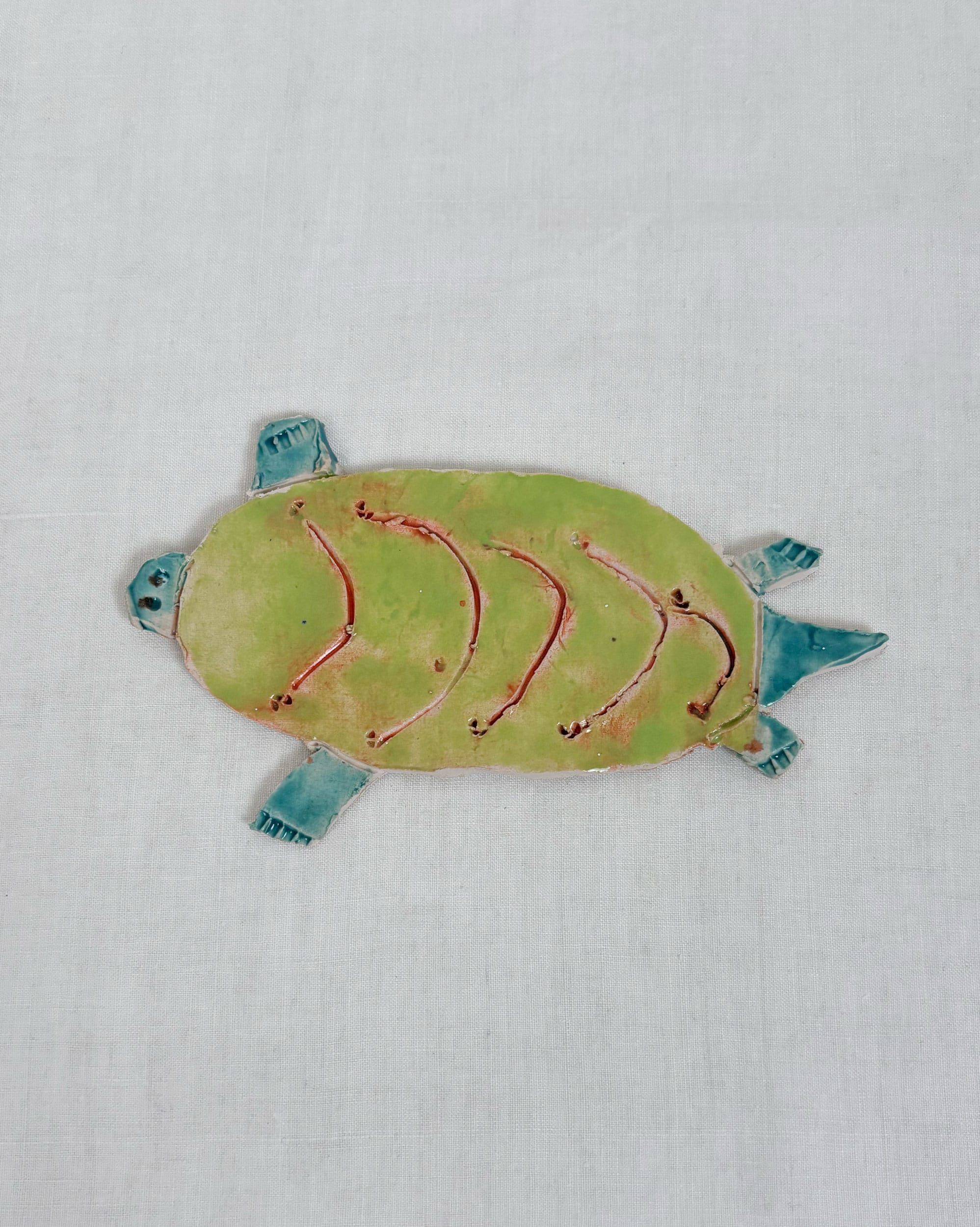 Tortoise - Mike Swaney
