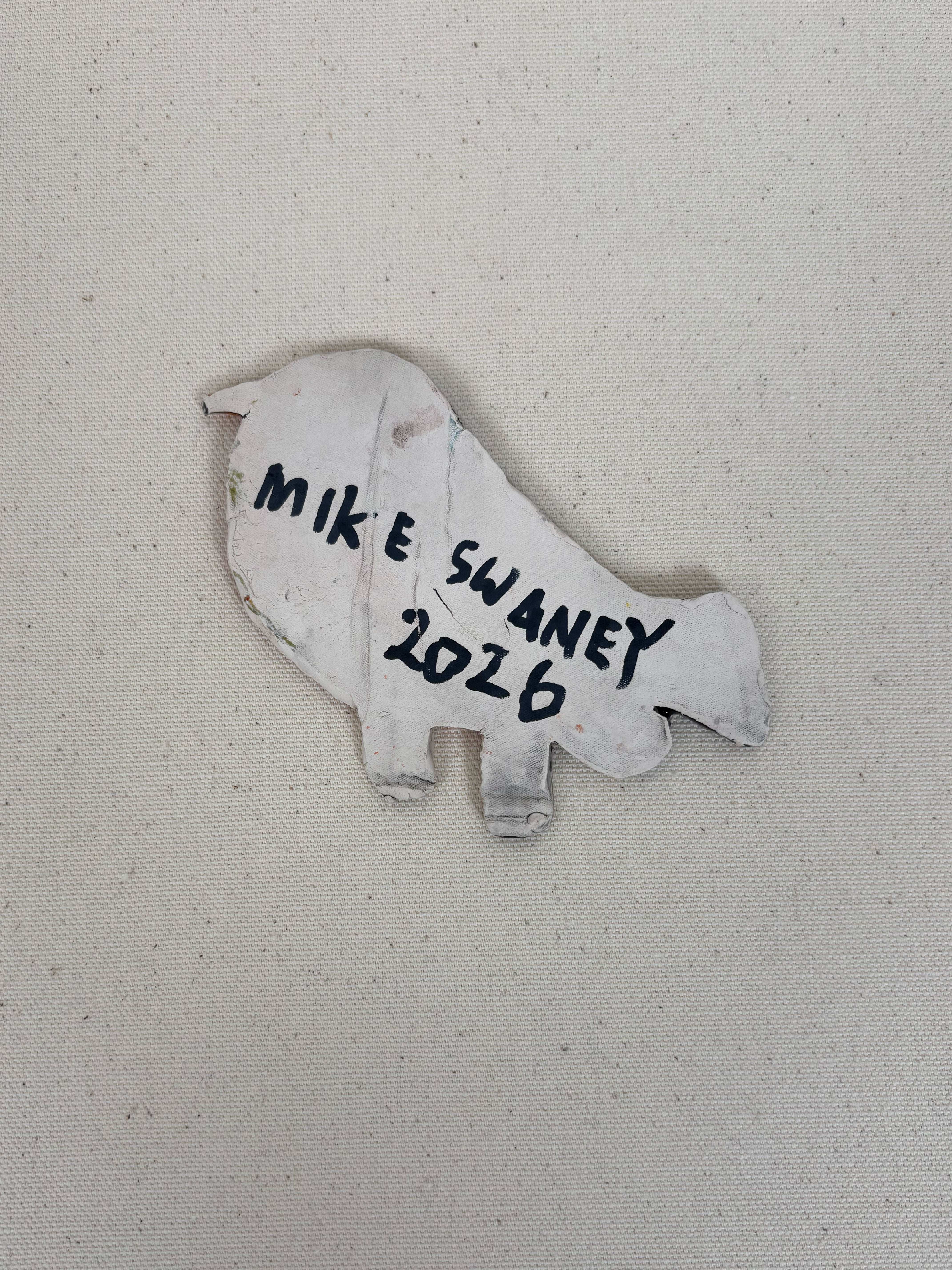 Colorful bird - Mike Swaney