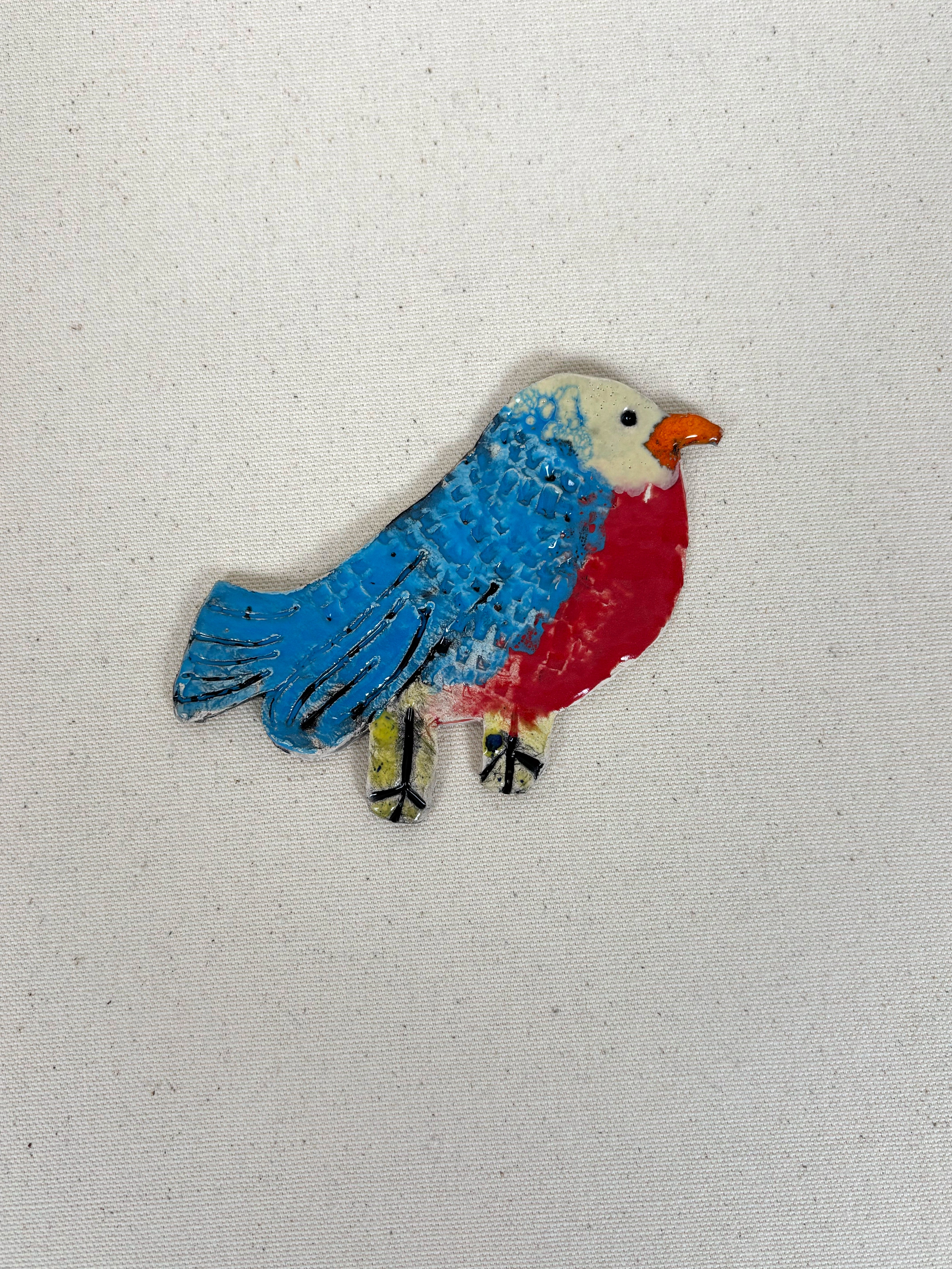Colorful bird - Mike Swaney