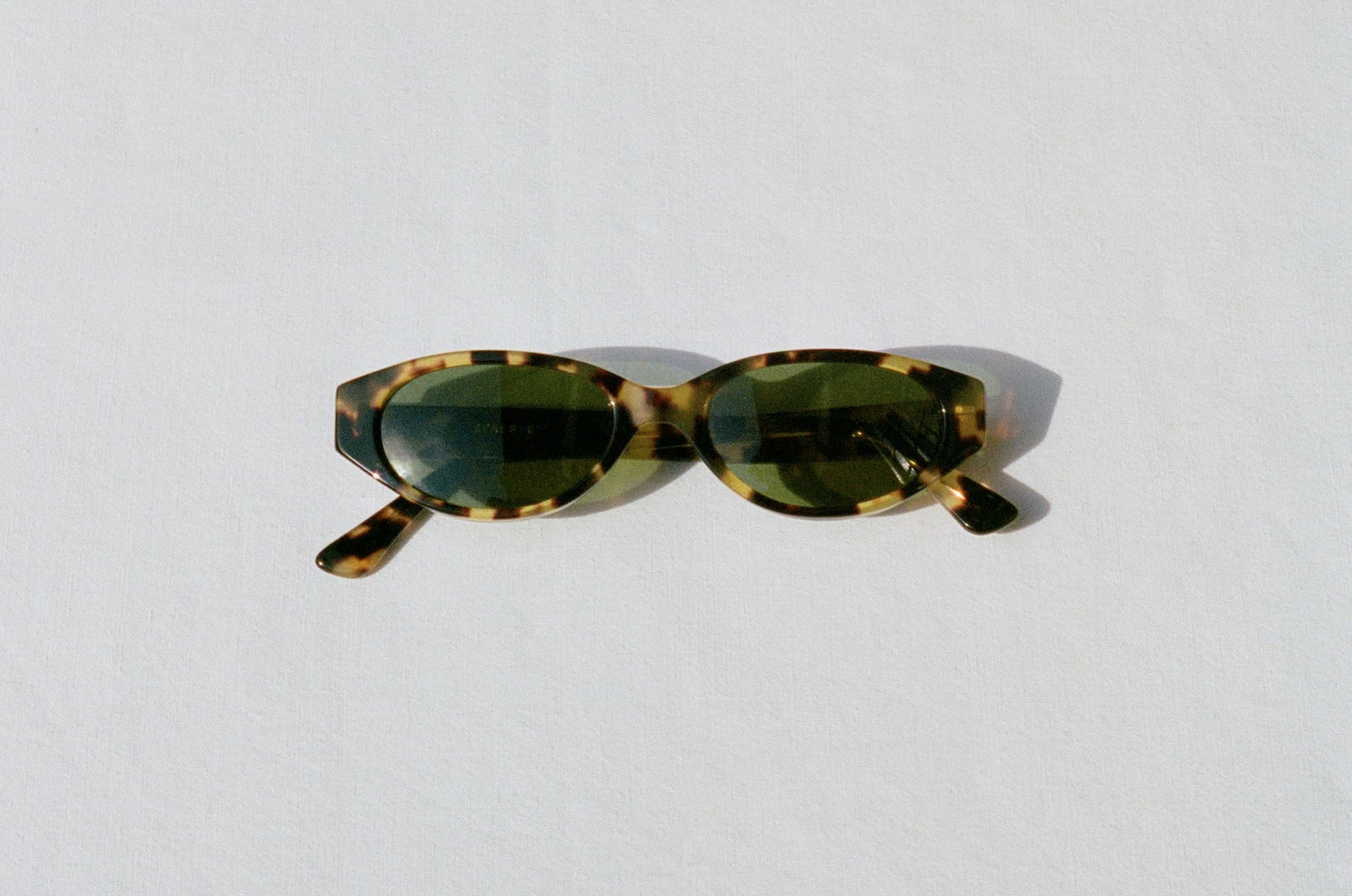Simone Tortoise