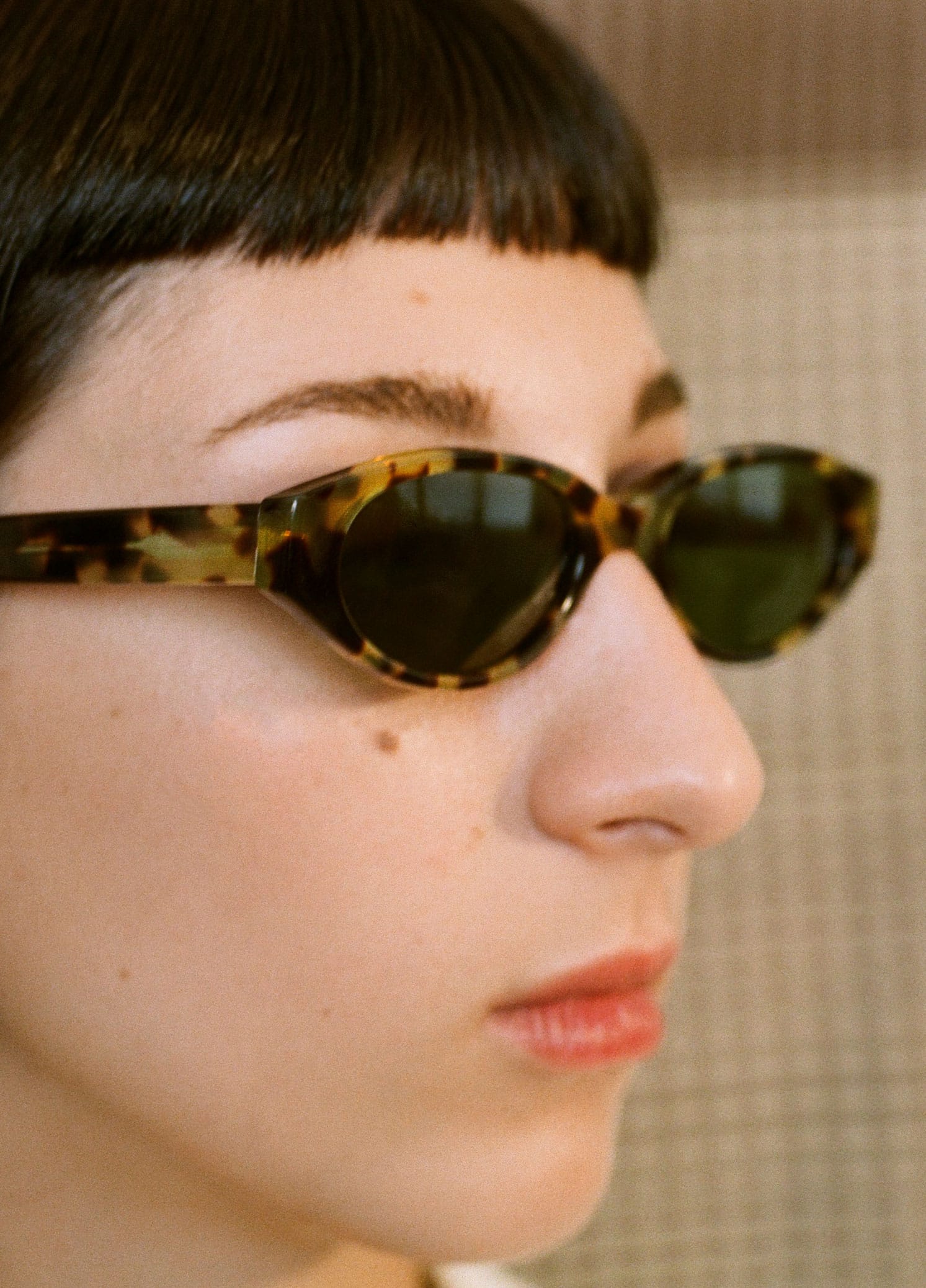 Simone Tortoise