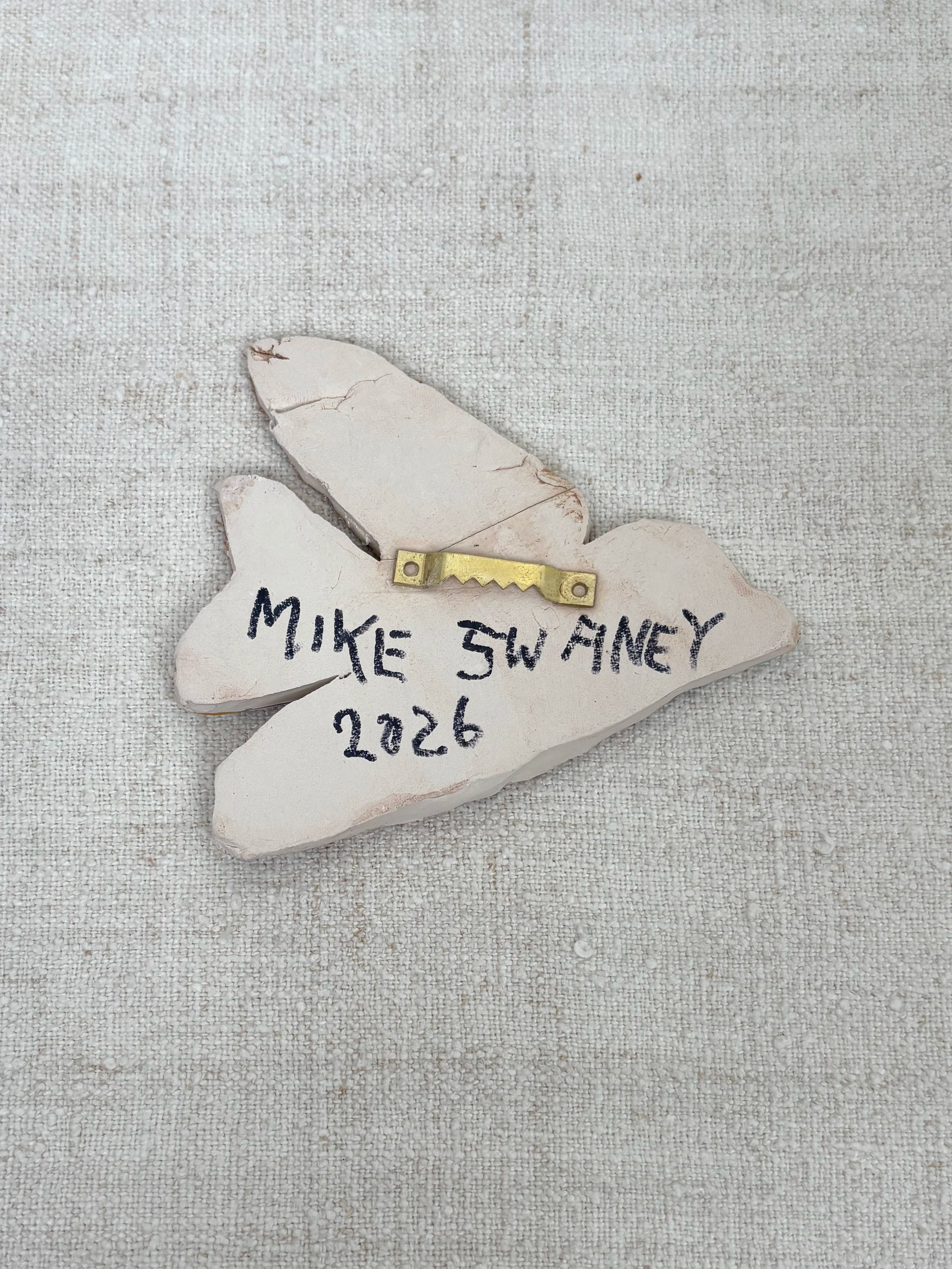 Swallow - Mike Swaney