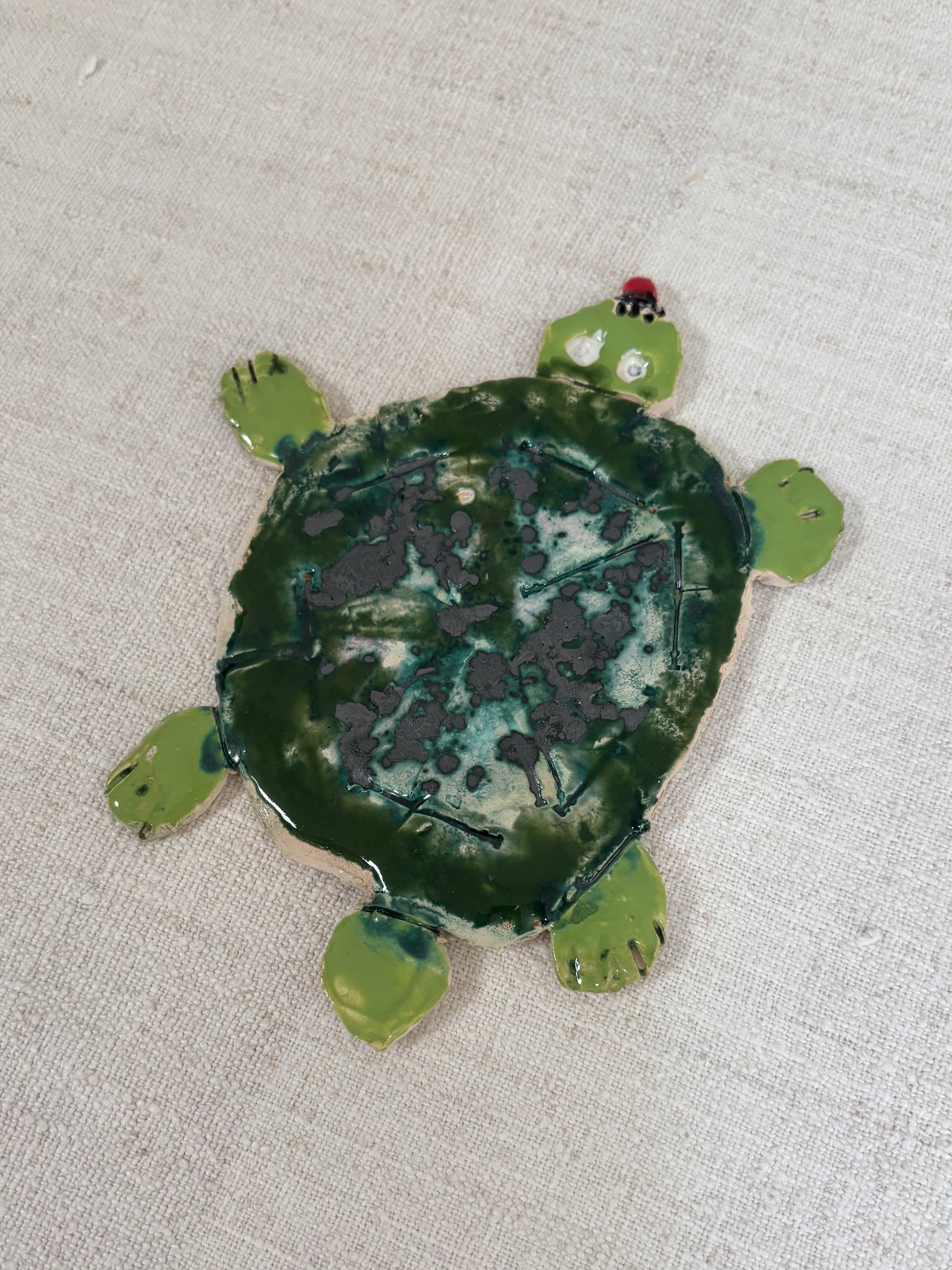 Big tortoise - Mike Swaney