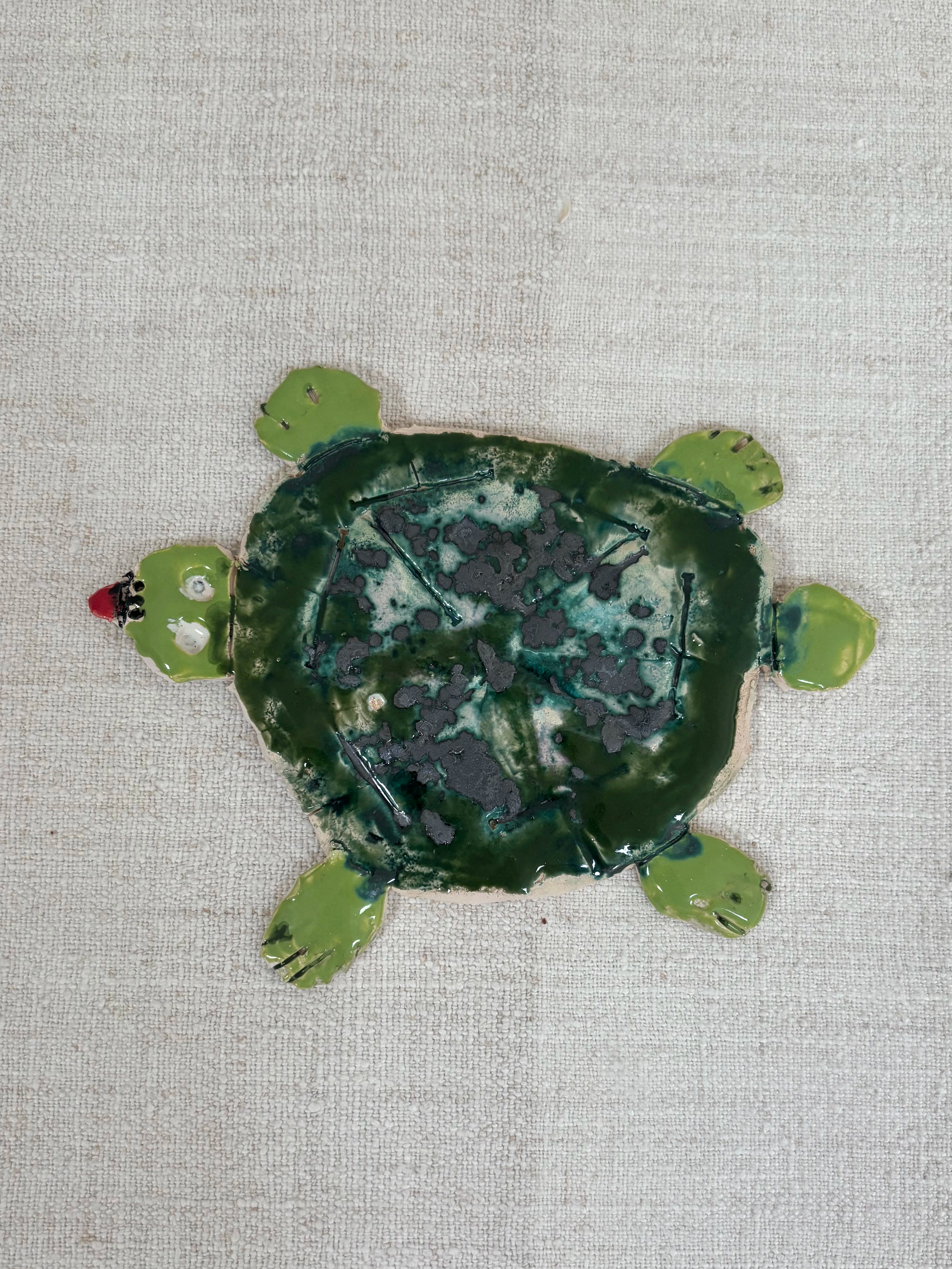Big tortoise - Mike Swaney